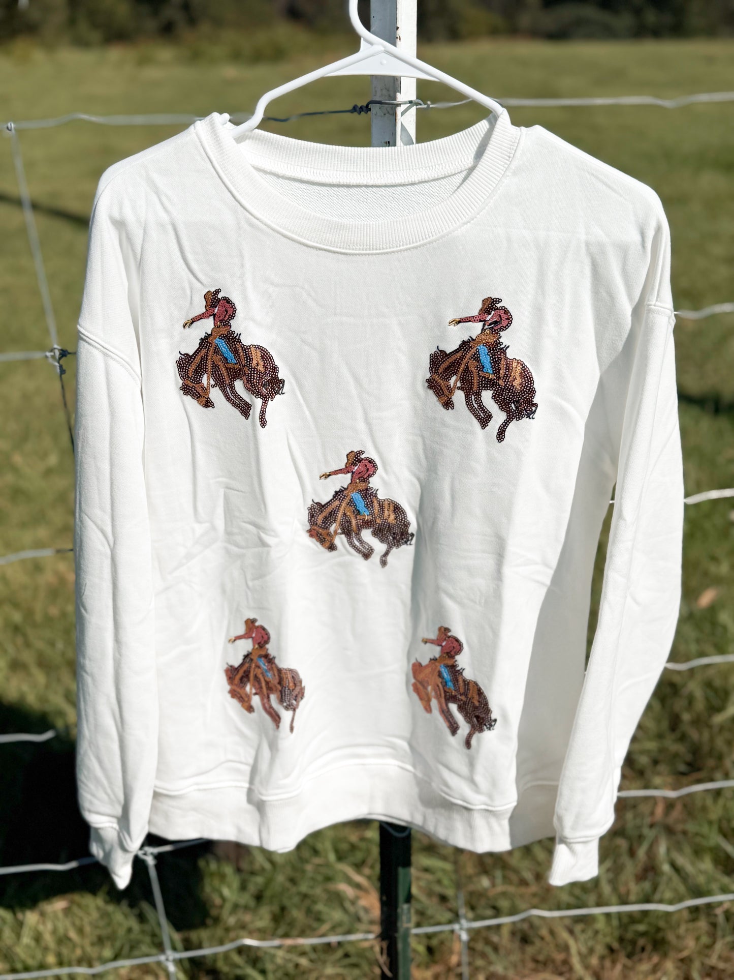 The rank rider sequin sweatshirt