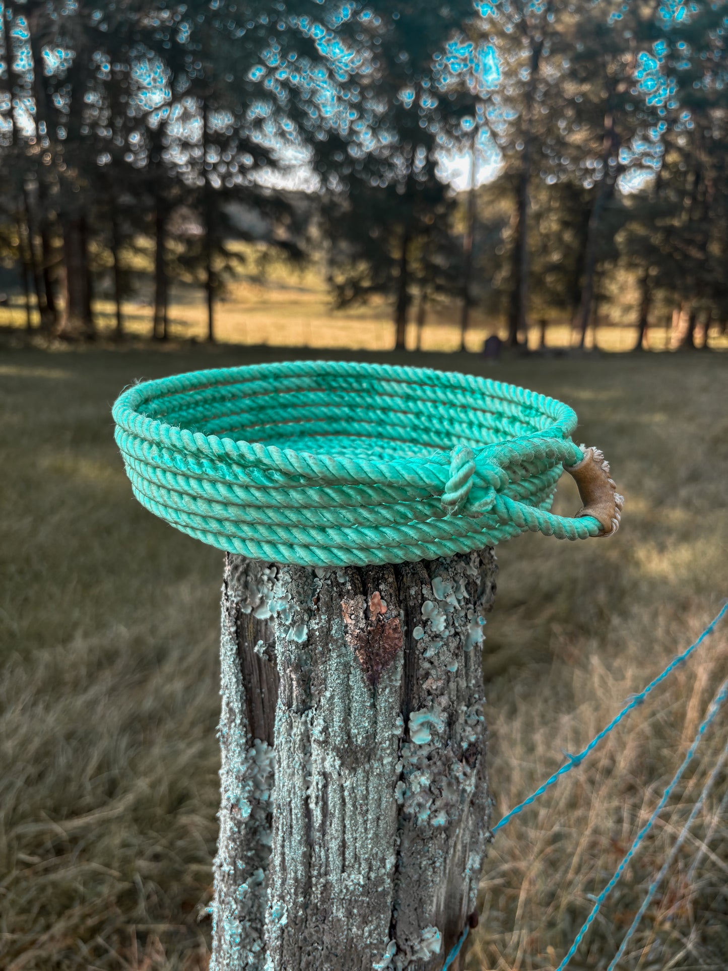 Rope baskets