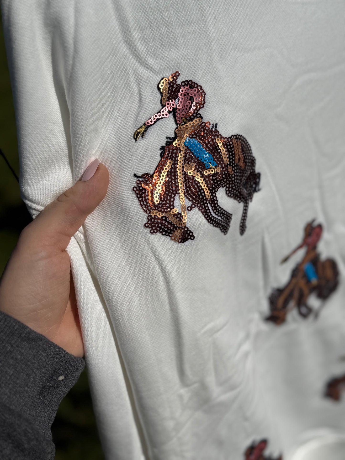 The rank rider sequin sweatshirt