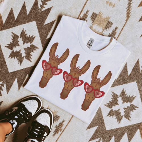 Valentine’s donkey sublimation T-shirt