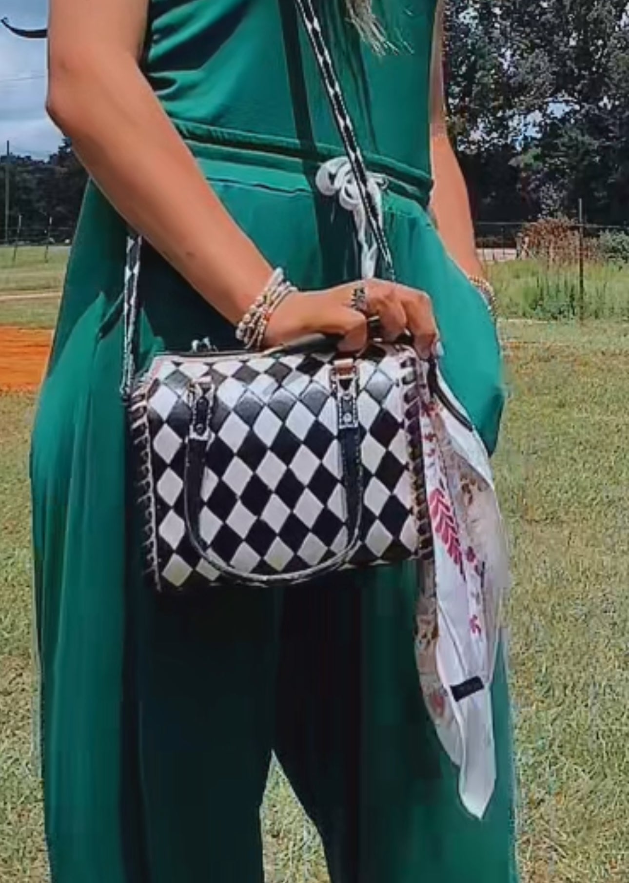 Small checkered speedy