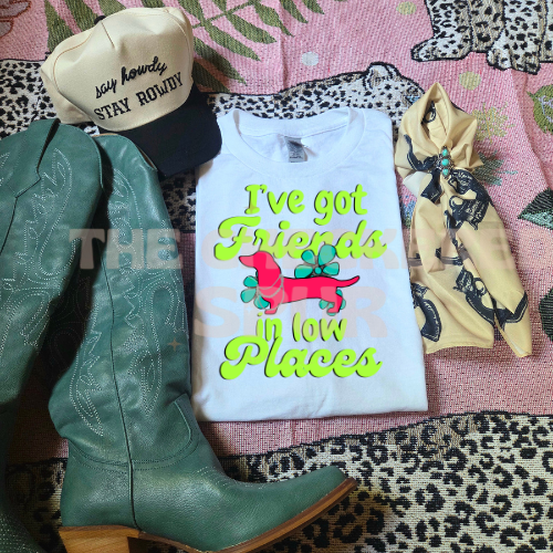 Friends in low places sublimation T-shirt