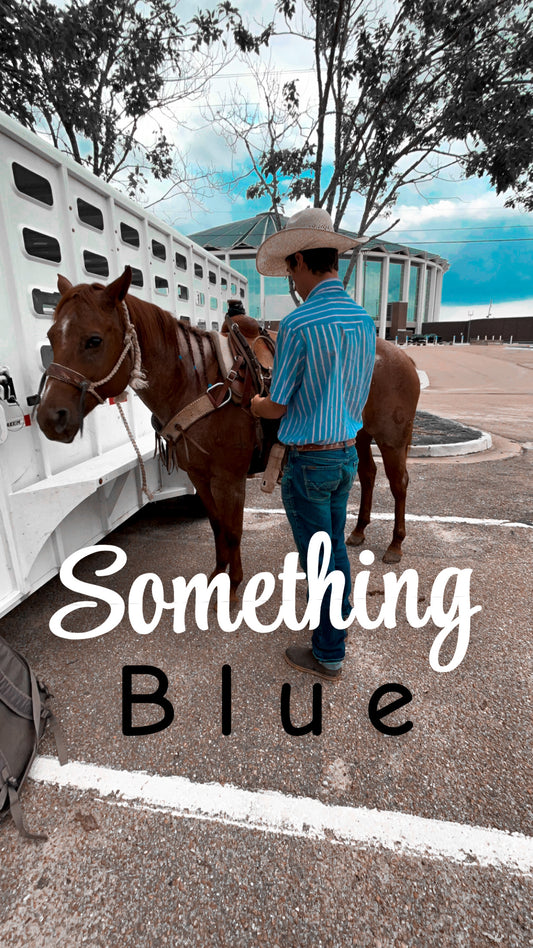 Something blue - Lightroom  preset