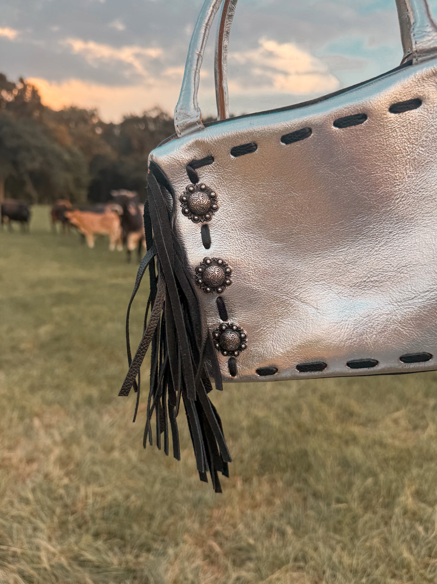 The silver spur bag