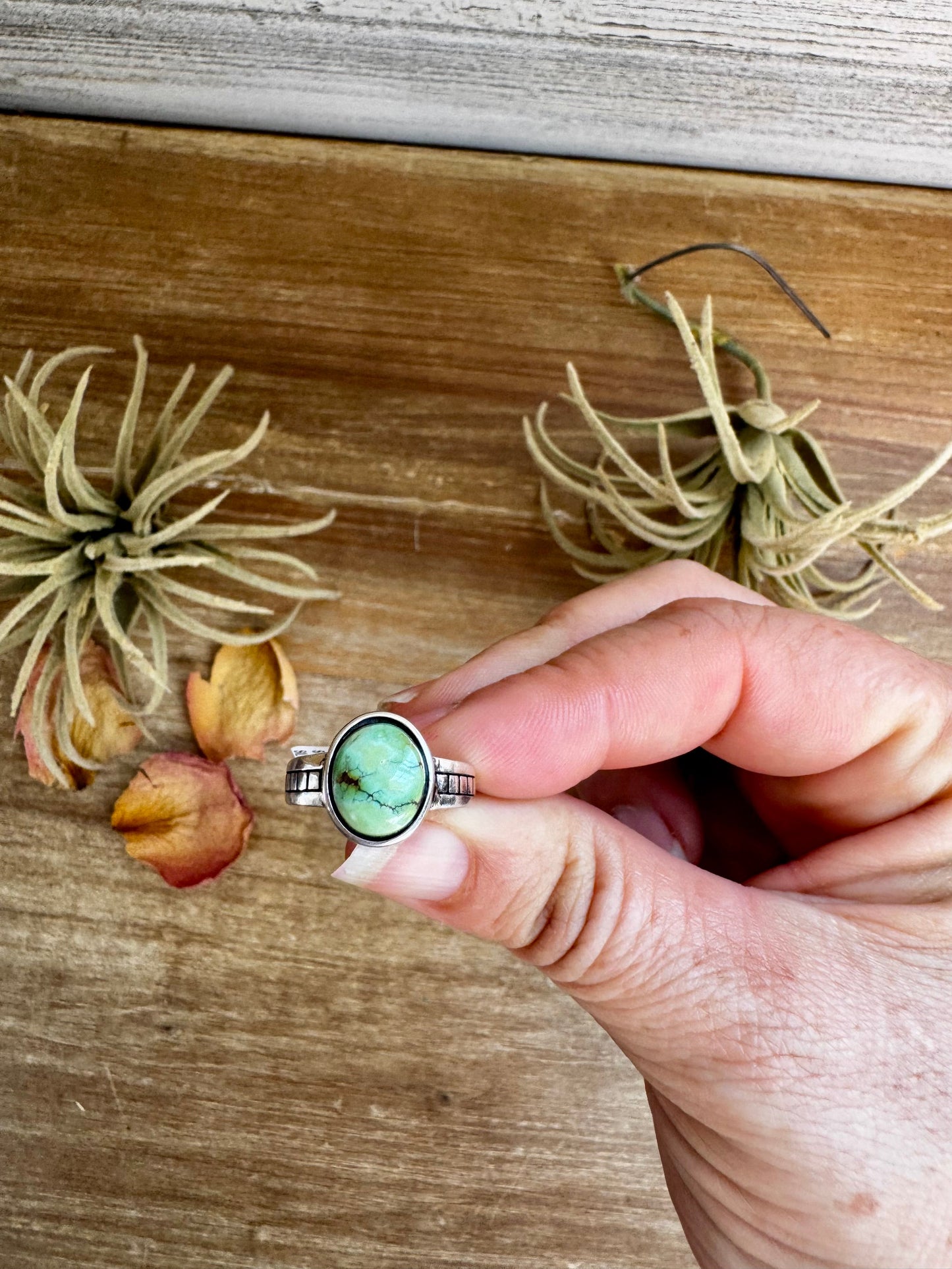 Sonoran Gold Turquoise Ring – Size 6.5 – Sterling Silver