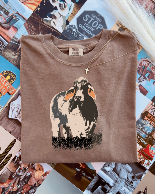Oh my Brahmin   comfort color shirt