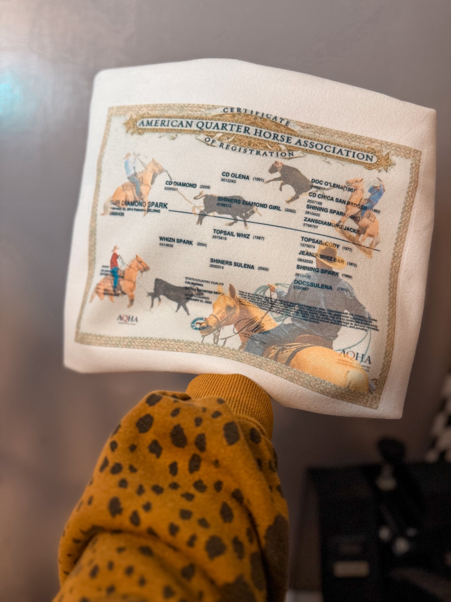 Custom pedigree sweatshirts