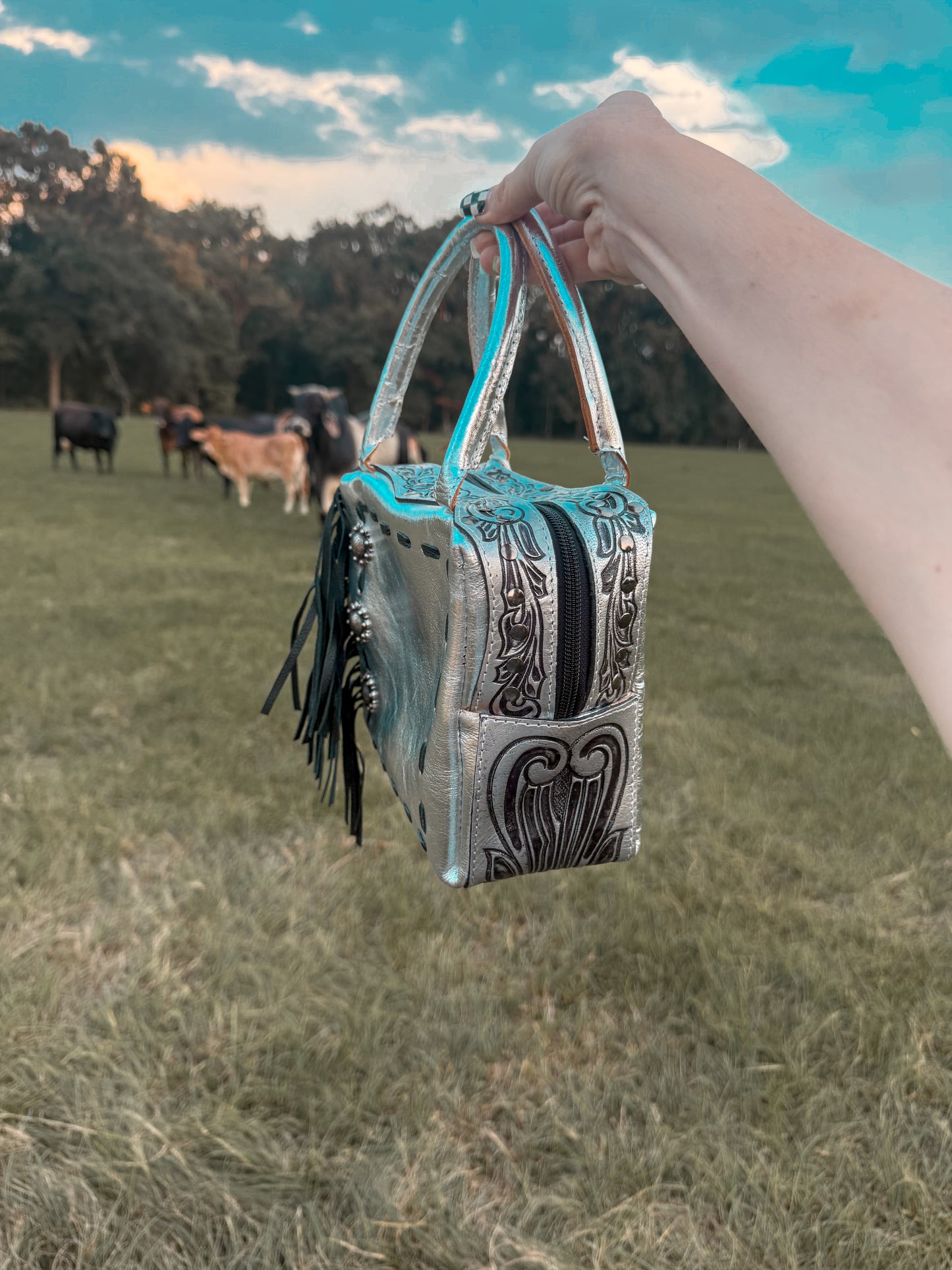 The silver spur bag