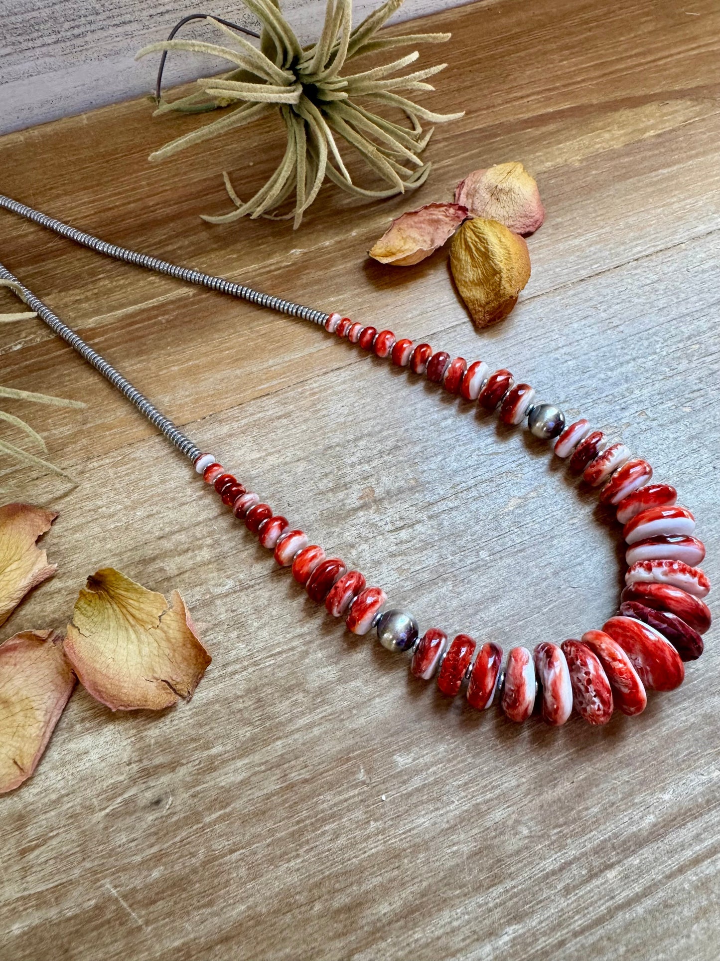 23" Red Spiny Oyster Graduated Necklace