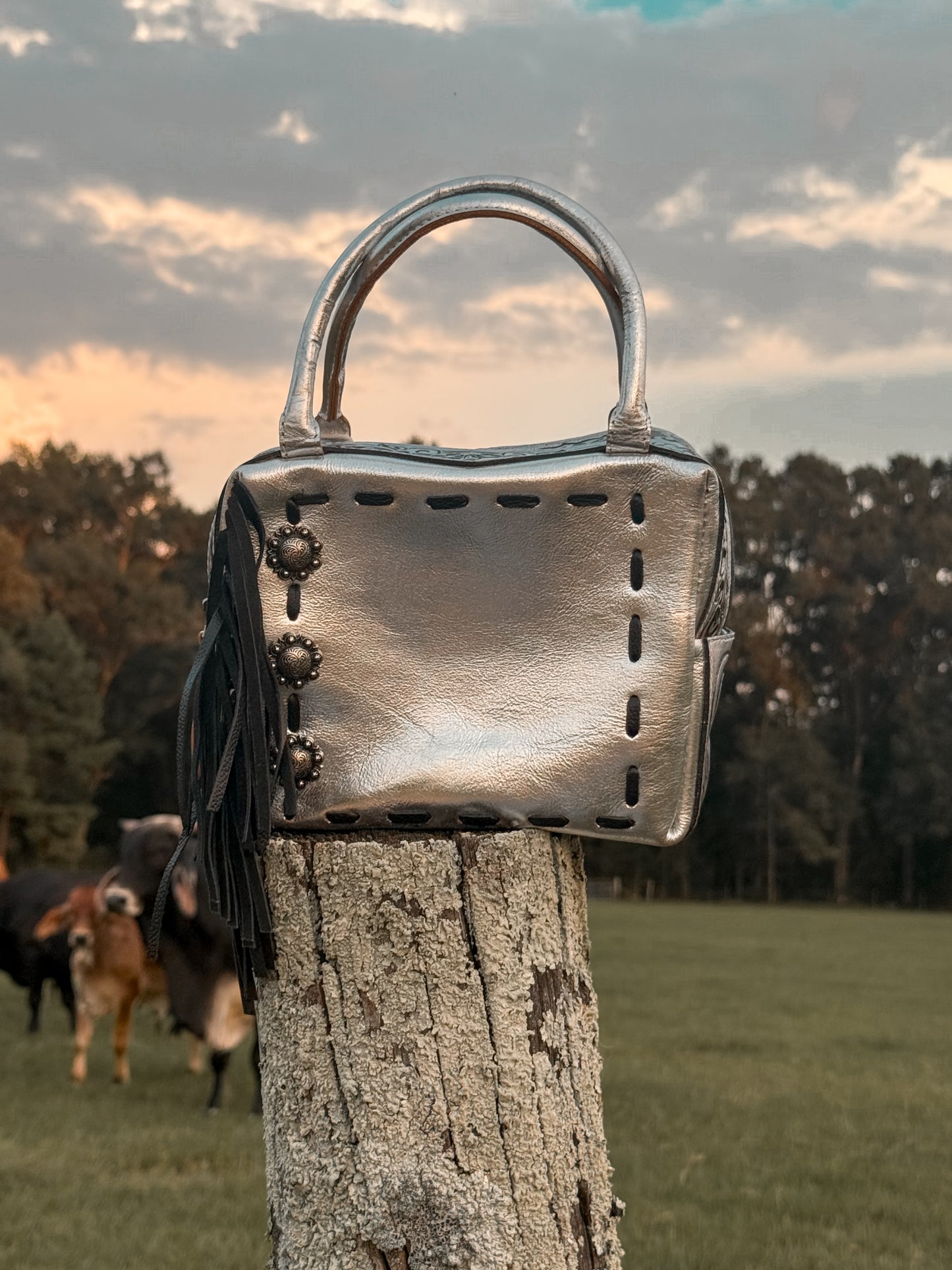 The silver spur bag