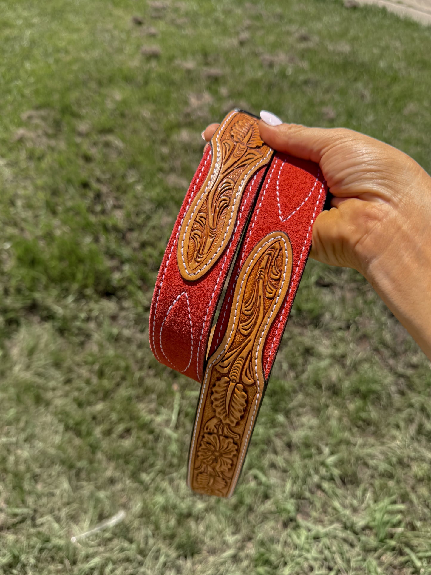 The coral reef belt -36”