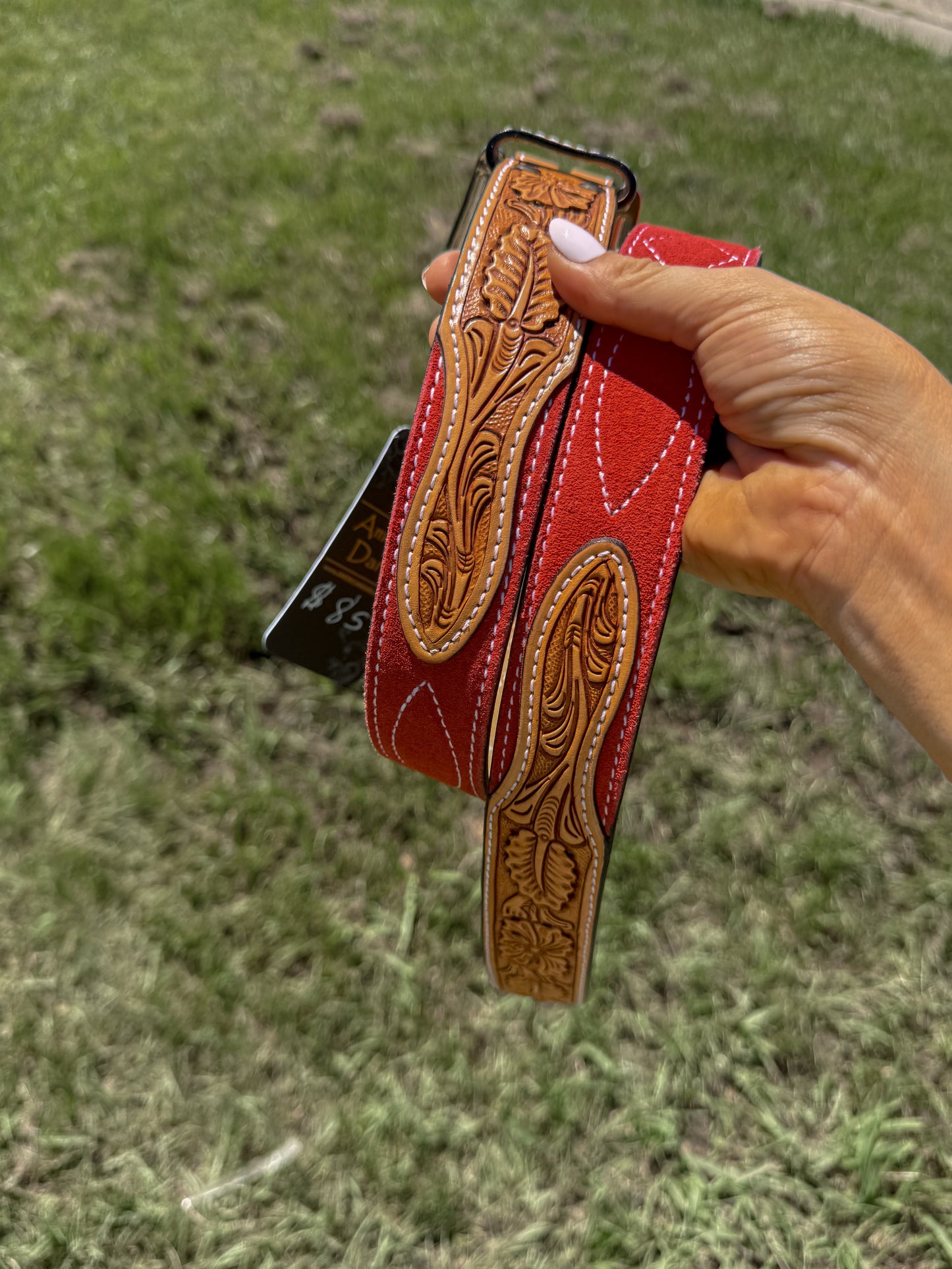 The coral reef belt -36”