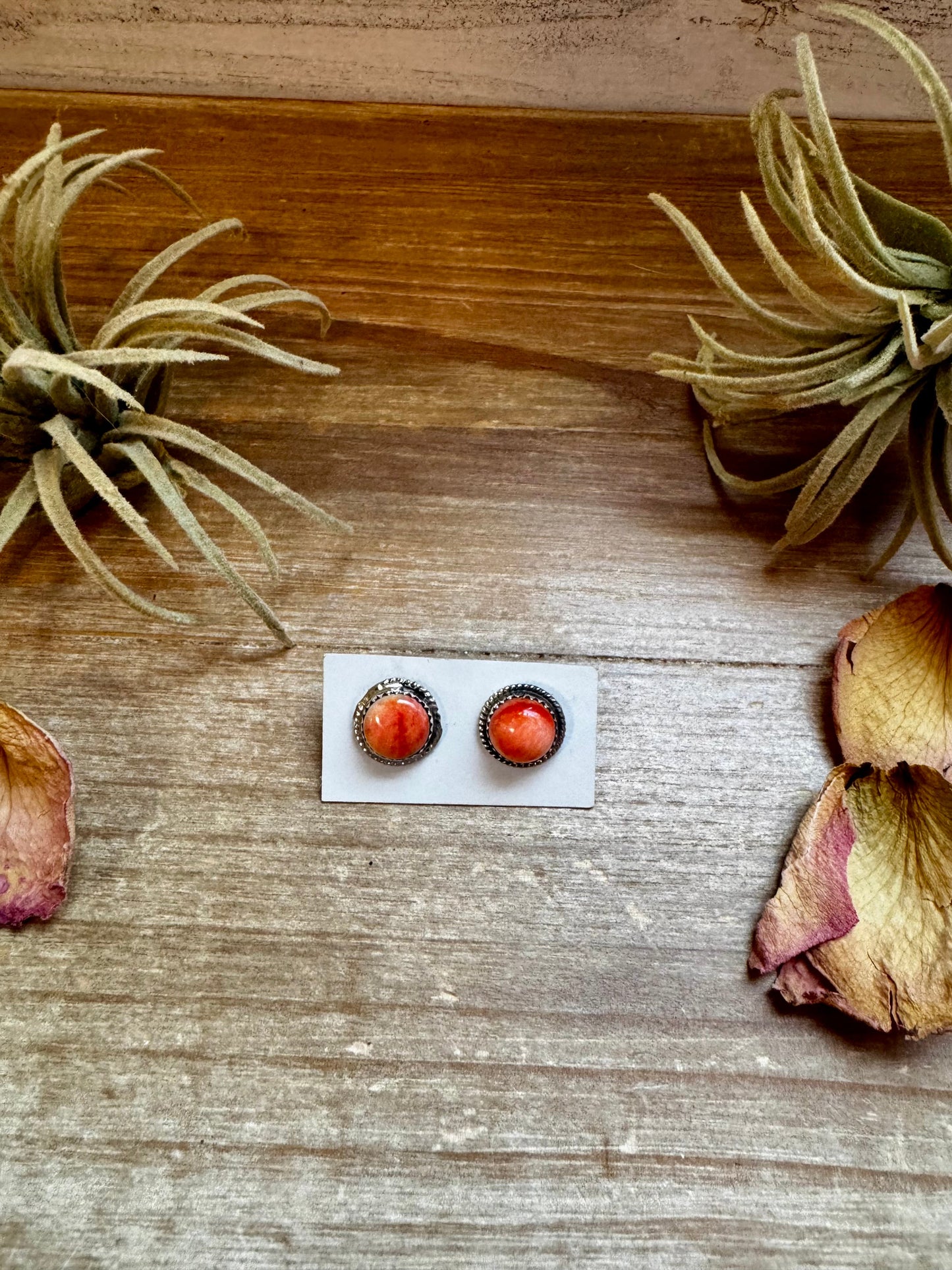 Spiny Oyster Stud Earrings – Sterling Silver