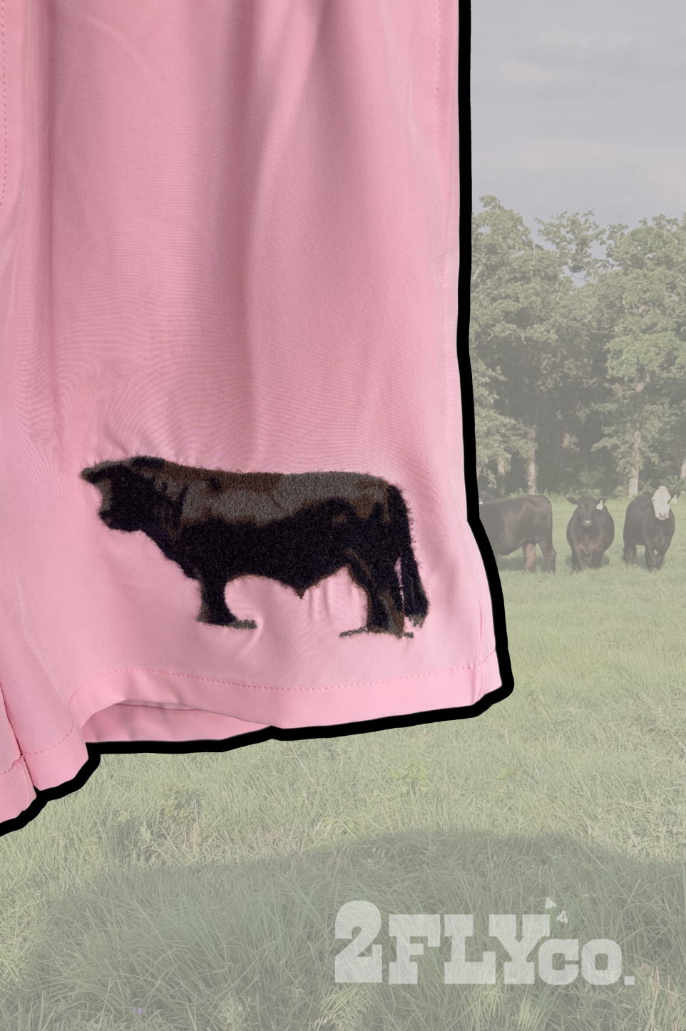 CATTLE CLUB SHORTS