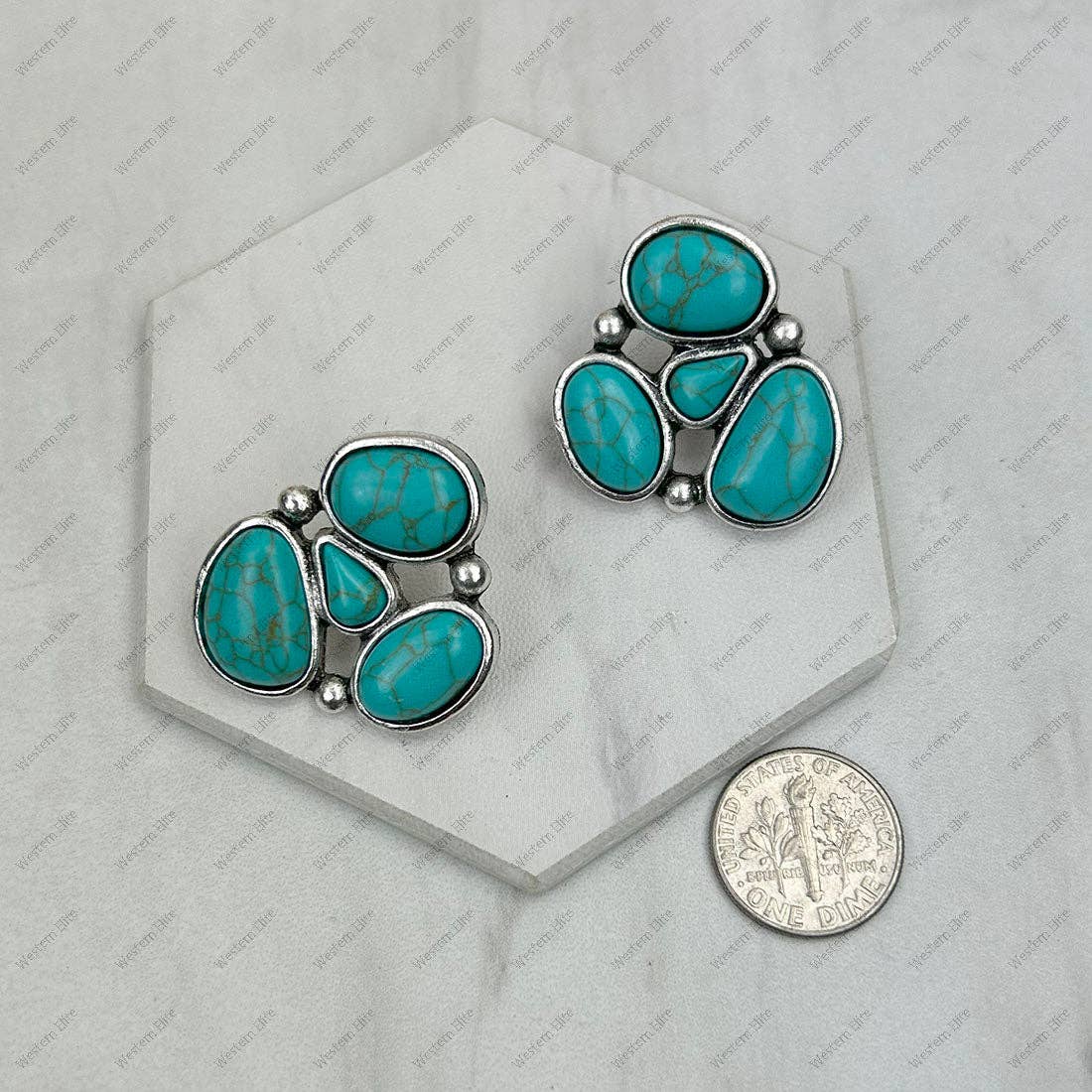 Silver metal with turquoise stone Earrings