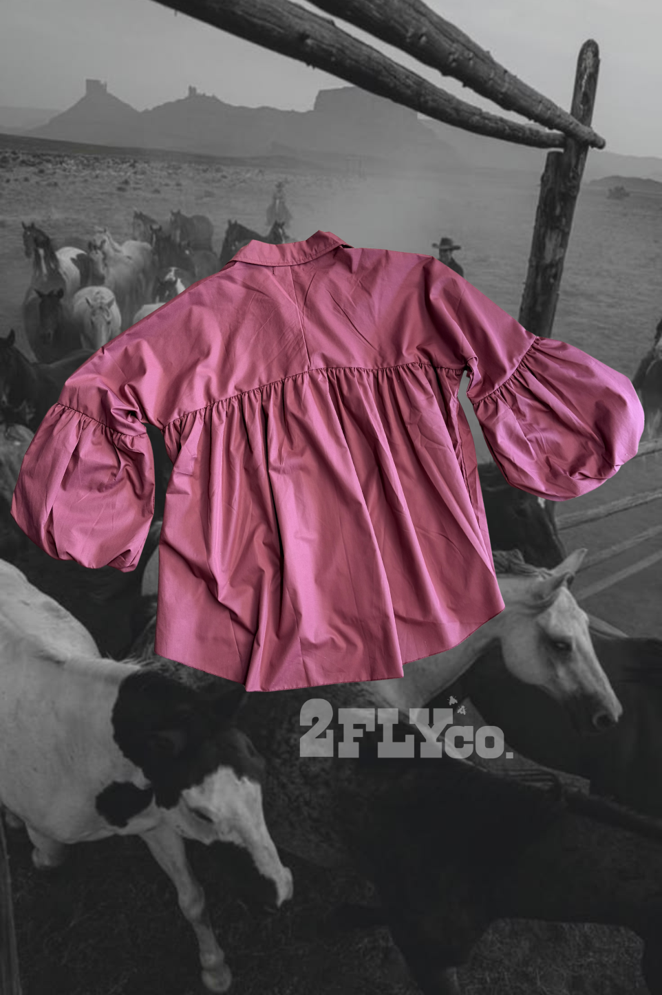 THE BRAZOS TOP